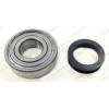 Подшипники и сальник стиральной машины Bosch WOR16153OE/01 WOR16151OE/02