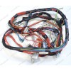Проводка стиральной машины Indesit WS105TXEX (80233560130)