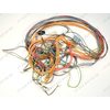 Проводка для стиральной машины Bosch WLX2044COE/01