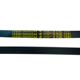 Ремень стиральной машины Hansa Midea Weissgauff DEXP - 12638100000244 Hutchinson POLY.V 5PJE 1281