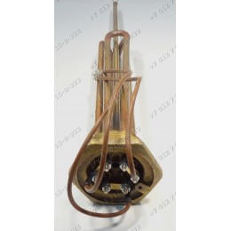 Тэн RTF 2 3*1000W = 3000W 400V На резьбовом фланце G2 для промышленного водонагревателя